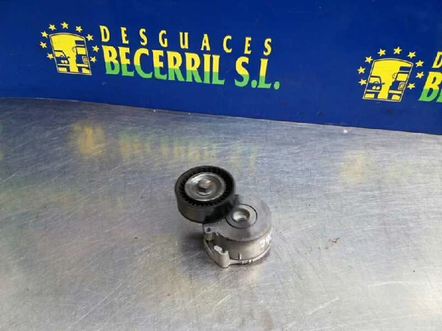 galet tendeur pour PEUGEOT 308 SW 2.0 HDI 2009 604846 1586195