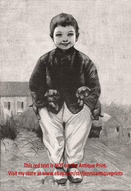 Dog Boerboel South African Mastiff Puppy & Dutch Boy, Large 1890s Antique Print