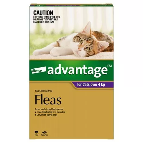 Advantage Flea Treatment Large Cats Over 4kg Purple 6 pack