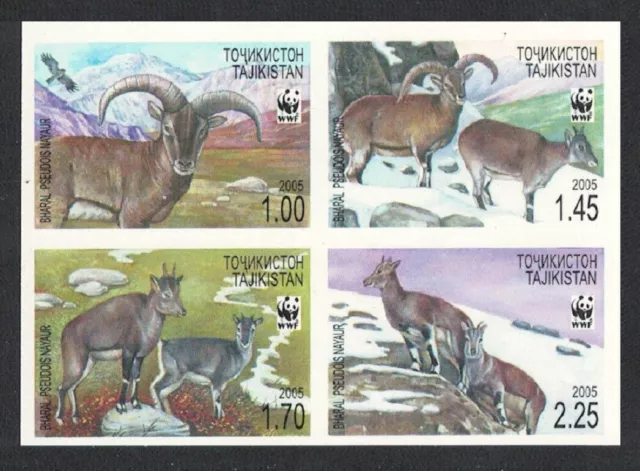 Tajikistan WWF Bharal Block of 4 imperf 2005 MNH SG#282-285 MI#392B-395B