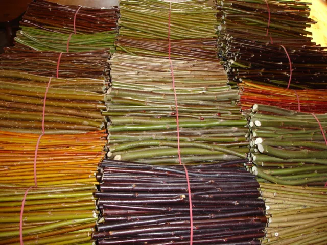 17 x 25cm Living Willow Cuttings - 1 each of 17 Varieties