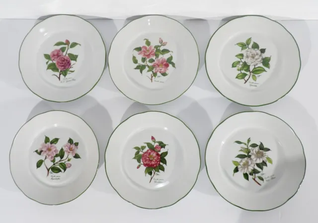 Bareuther Waldsassen Bavaria Germany Set of 6 Botanical Floral Salad Plates