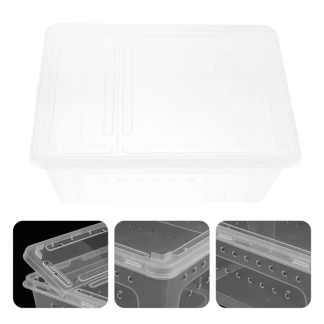 INSECT REARING BOX Plastic Tarantula Scorpion Sling Lizard Terrarium £ ...