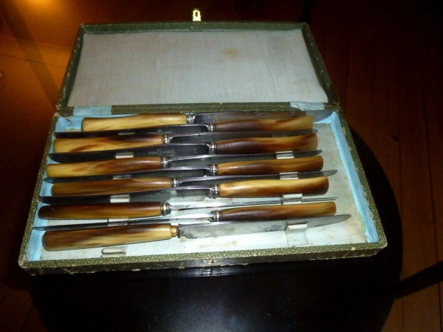 Lot De 10 Couteaux Anciens En Corne Et Acier – Manche Perle – Couteaux à Dessert/fruit 17cm