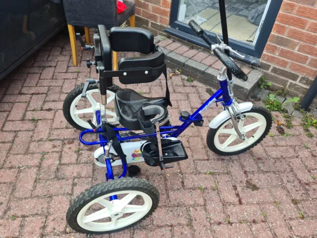 THERAPLAY TERRIER SPECIAL Needs Tricycle 320.00 PicClick UK