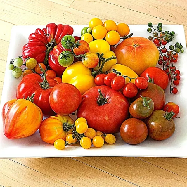 HEIRLOOM SURVIVAL Tomato seeds NON-GMO 60+ varieties you choose LOOK CHEF YUMM!