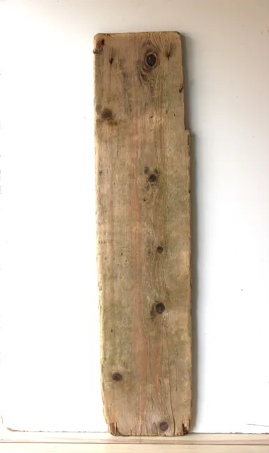 Treibholz Schwemmholz Driftwood  1 MEGA  Brett  Regal Dekoration Basteln 136 cm