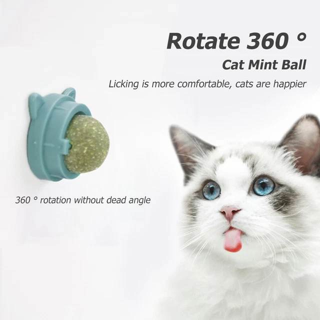 Bola giratoria de menta para gato, bolas naturales para gatos, molares-menta para gatos-Sn