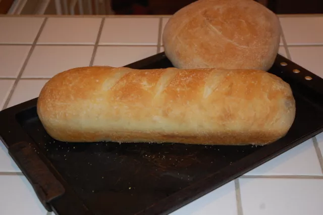 SOURDOUGH STARTER vecchio e VERIFICATO 150+ anni californiana goldrush country larry ^^