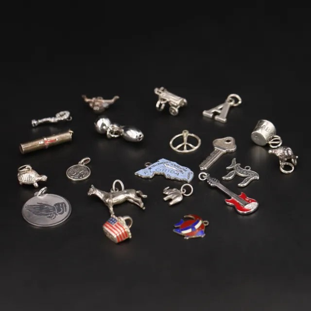 Sterling Silver - Lot of 20 Assorted Elephant, Turtle, Map Bracelet Charms - 40g