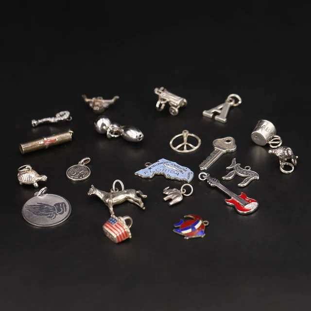 Sterling Silver - Lot of 20 Assorted Elephant, Turtle, Map Bracelet Charms - 40g