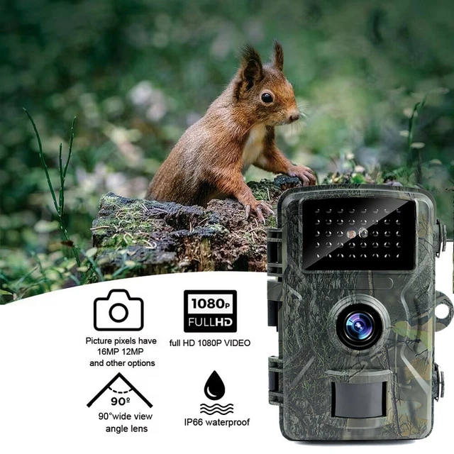 Amazon Garden Trail Camera Best Trail Cameras Of 2025 Reviewed