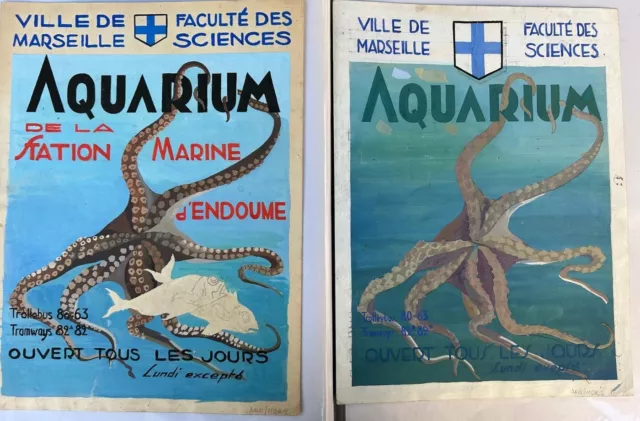 Coppia di acquarelli del XIX secolo Acquarium de la station Marine d' Endoume