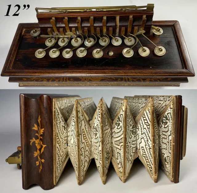 Antique 19th Century French Flutina, Accordion, Marquetry and Mother of Pearl Antique 19th Century French Flutina, Accordion, Marquetry and Mother of Pearl