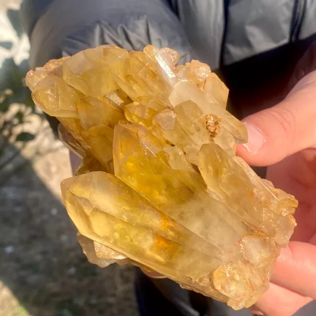 421G New Find Yellow Phantom Quartz Crystal Cluster Mineral Specimen Healing