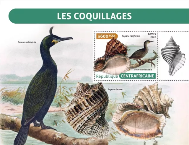 Shells Sea Birds MNH Stamps 2022 Central African Republic S/S