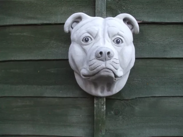 Full Size Stone Staffordshire Bull Terrier  Dogs Head Garden  Wall Sculpture