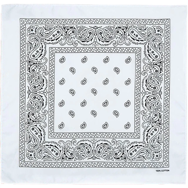 3-Pack Bandana 100% Cotton Paisley Double-Sided Scarf Head Neck Face Mask Lot