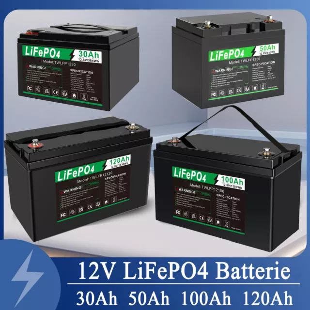 120Ah 12V LiFePO4 Akku 100Ah 50Ah 30Ah Lithium Batterie BMS Für Solaranlage RV