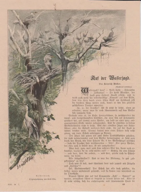 Orig. kolorierter Holzstich: Reiherhorst Originalzeichnung von Ernst Otto. Mit B