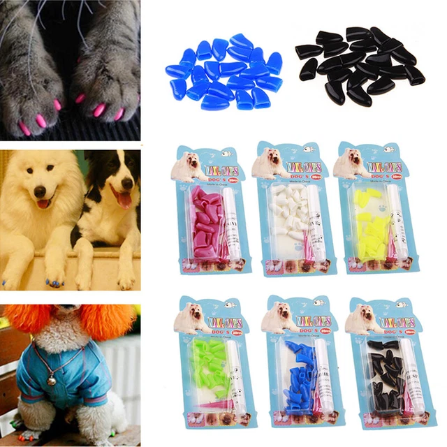 Coperchi durevole tappo unghie gatto silicone punte zampe morbide colorate per artigli gattino