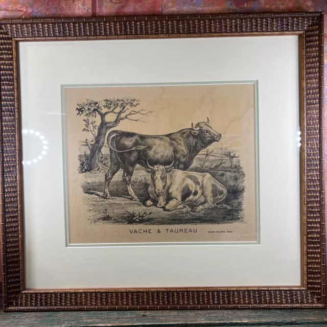 Tableau Ancien Image d’epinal encadrée vache et taureau animaux ferme Boucherie