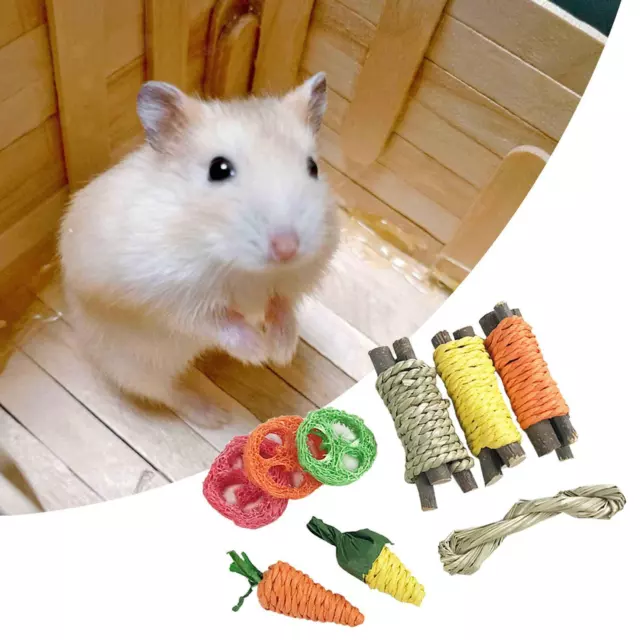 9 Pieces Rabbit Chew Toys Bite Grind Teeth Toy for Guinea Pigs Chinchillas Teeth