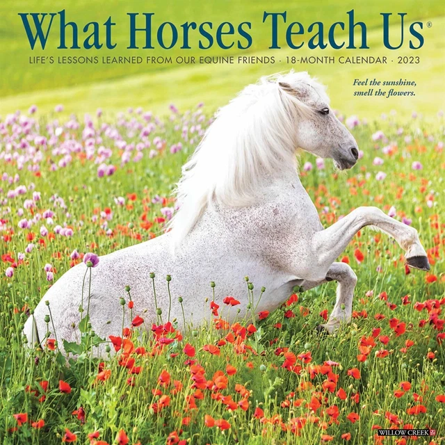 WHAT HORSES TEACH Us Calendar 2023 Animal Month To View £8.48