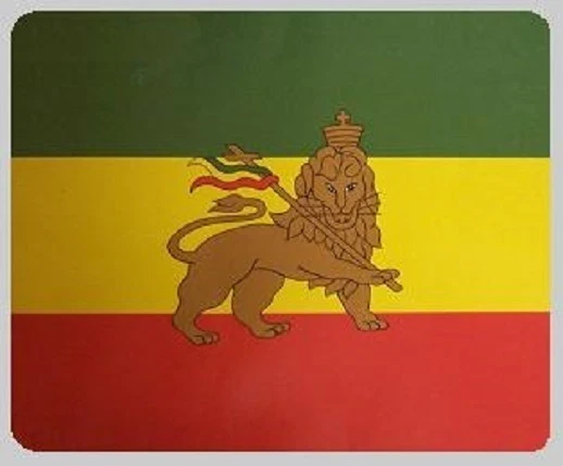 Blanket Fleece Throw National Flag Ethiopia Lion of Judah 50"x60" NEW w/ sleeve