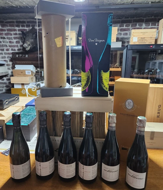 SUBLIME -Flacons de champagne - 9 magnifiques des plus grands vins de champagne.