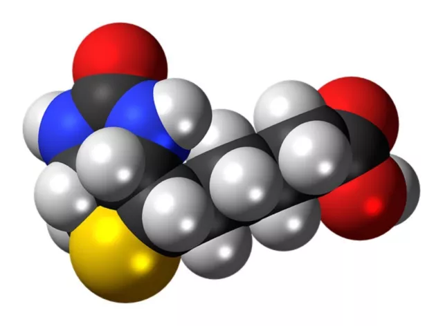 Biotin Energie 999  -  Ferneinweihung - Ätherische Versorgung für Tier & Mensch