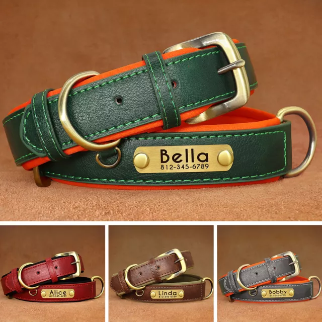 Personalisiert Hundehalsband Weiches Leder mit Namen Gravur Verstellbar XS-XL