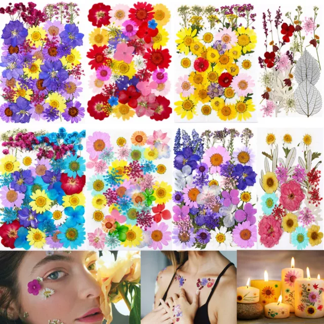 31-99PCS Real Dried Flowers Pressed Leaves for Epoxy Resin Jewelry Making DIY AU