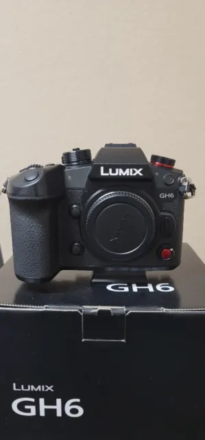 Lumix GH6 4K 25.2MP Mirrorless Camera (Body Only) DC-GH6BODY with SMALLRIG cage.