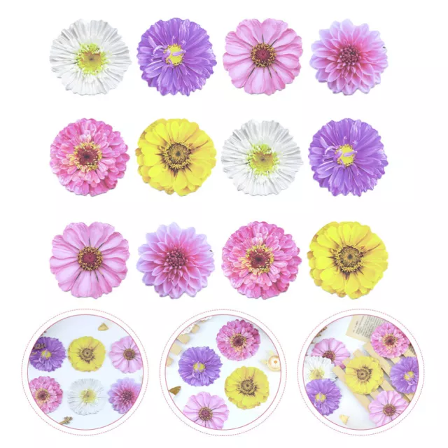 12Pcs 3D Flower Self-Stick Memo Pads for Home/Office/Notebook - Mixed Styles-