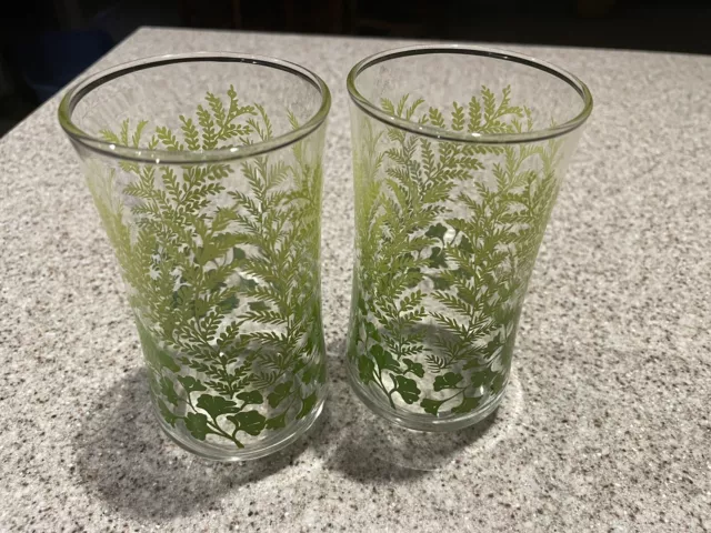 1970s Libbey Fern & Ginkgo Leaves Juice Glasses (2)