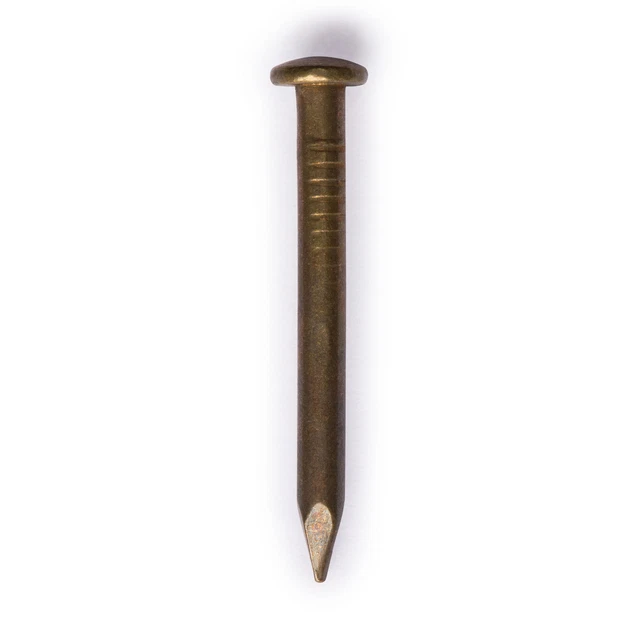 Hardware Philosophy 0.8" Pure Brass Nails - Bag of 100
