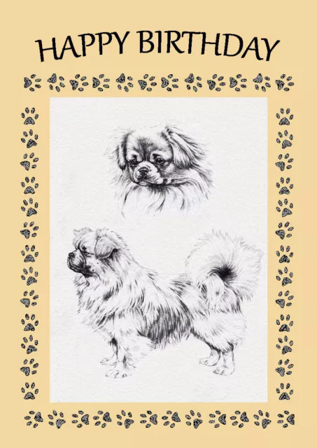 Tibetan Spaniel Sketch Study Dog Birthday Greetings Note Card