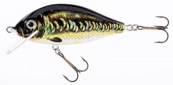 Jaxon Holo Select Karausche - 9cm/17g Schwimmend