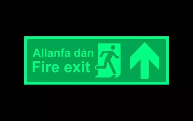 Fire exit up arrow Allanfa dan Welsh/English emergency photoluminescent sign