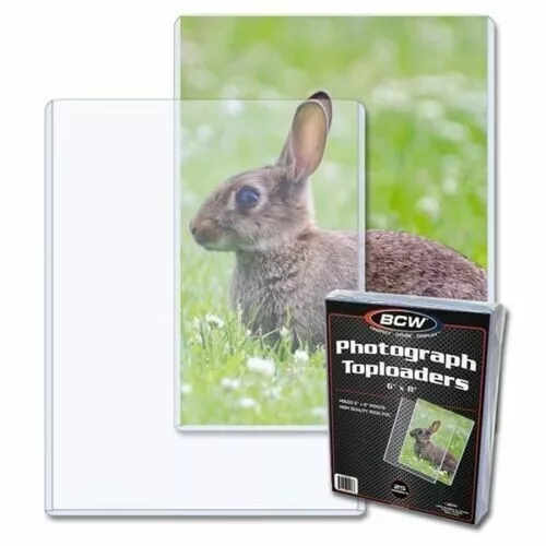Nuevo CASE 500 Paquete BCW 6x8 Plástico Rígido Duro Impresión Fotográfica Portacarga Superior 6 x 8