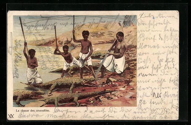 CPA Illustrateur La chasse des crocodiles 1905