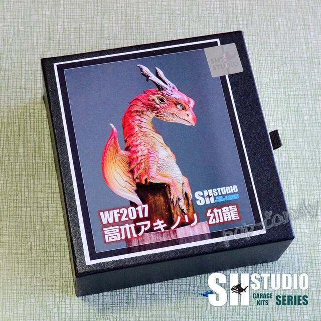 高木アキノリYoung Dragon Unpainted Resin Unassembled Figure Garage Kit Model WF2017W