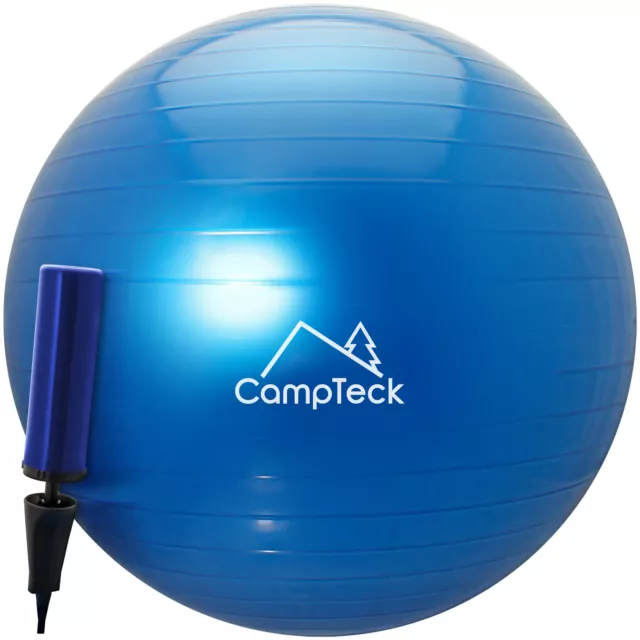 Ballon Suisse de Gym 65cm Ballon Exercice avec Pompe pour Fitness Yoga Pilâtes