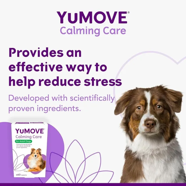 YuMOVE Calming Care for Adult Dogs | Previously YuCALM Dog | Calming Supplement