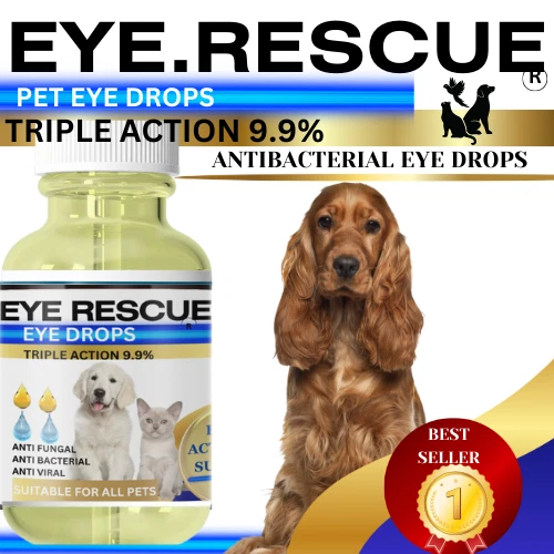 CONJUNCTIVITIS EYE INFECTION drops for dogs cats rabbits all pets £7.88