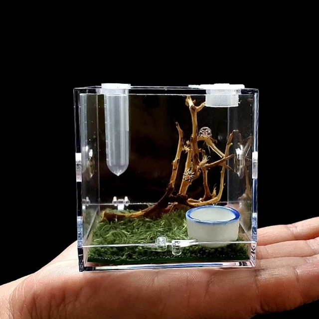 AWXZOM Spider Terrarium, Acrylic Reptile Breeding Box Jumping Spider Enclosure w