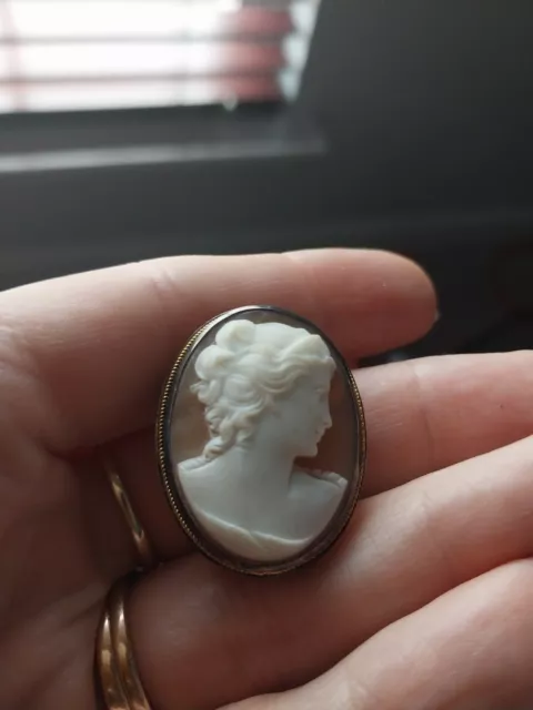 Vitnage Antique Sterlings Silver Cameo Brooch Necklace Pendant