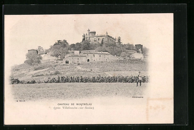 CPA Villefranche-sur-Saone, Chateau de Montmélas