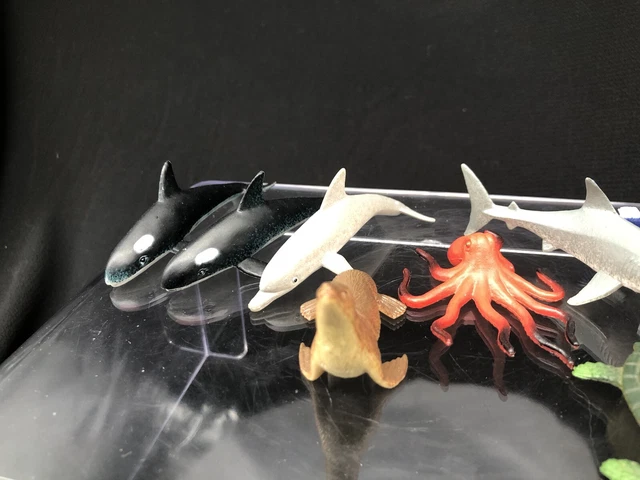 Lot Of 8 Aquarium Sea Animals Shark, Dolphin, Turtle, Etc 3